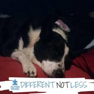 Meet your Posher, Klara